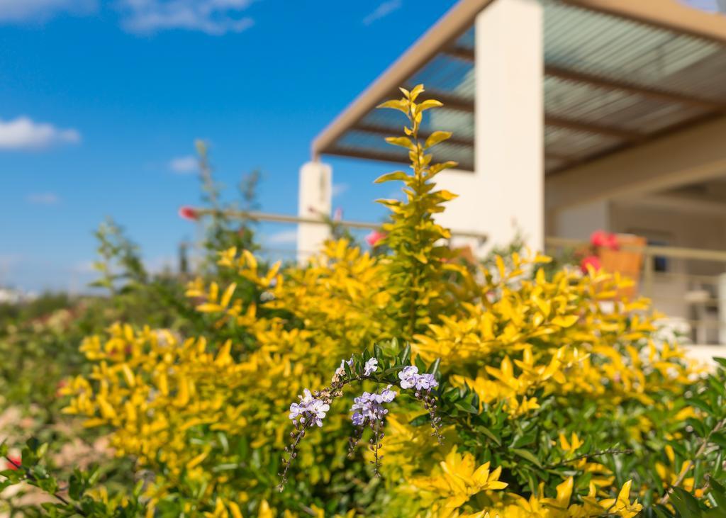 Legrena Beach Villa Sounion Exterior foto